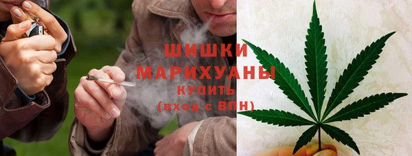 ПСИЛОЦИБИНОВЫЕ ГРИБЫ Алексин