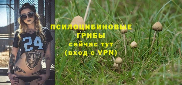 метадон Зеленокумск