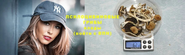 эйфоретик Алзамай