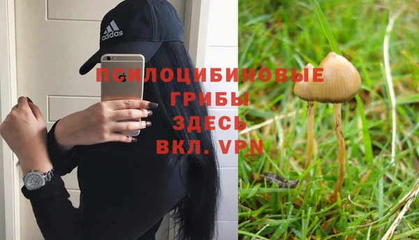 кокаин Алексеевка