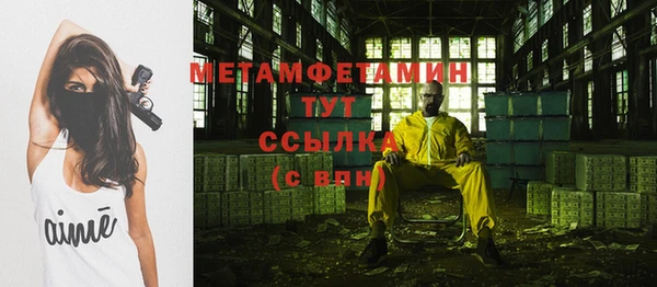 амф Ельня