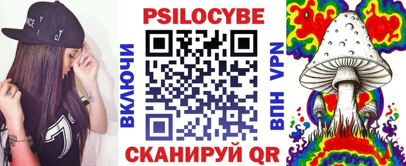 kraken как зайти  Чусовой  Псилоцибиновые грибы Psilocybine cubensis 