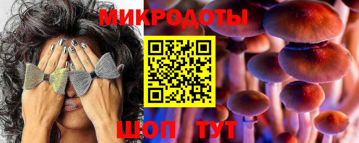 Чусовой  Псилоцибиновые грибы мухоморы  Вход с VPN 